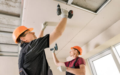 Interior Painting Expertise: How to Choose Accent Wall Colours in Vancouver’s Natural Light